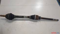  ( , ) Citroen Berlingo 2012- 8770608,   