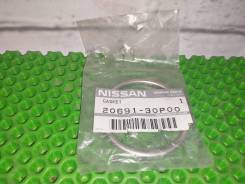    Nissan 2069130P00 