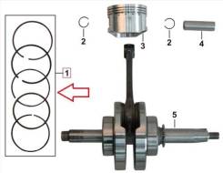   Stels LU090234  