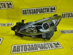 ���� �����