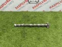 ���������� �������� Volkswagen Amarok 2011 06H109021K 2H CDBA ����