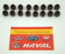   (- 16. ) Haval F7, F7X, H9 (4C20) 