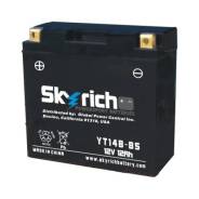  Skyrich YT14B-BS 