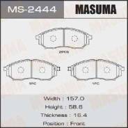     MS2444 (Masuma  ) 