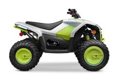 CFMoto CForce EV110, 2023 