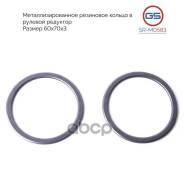         Zf GS . SRM0583 