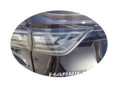    Harrier 60