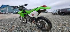 Kawasaki KLX 300R, 2007 