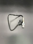 ����������� ������, ������ ���� 3921036700 ����