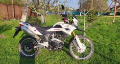 Racer Ranger RC300-GY8, 2024 