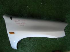 ����� �������� ������ Tribute