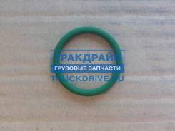      DAF D=30x3.5  DAF 1368341 