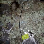 ���� ����� ����� Ford Focus 1 2004 ����� 1.6, ������ ������ ����