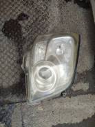 ���� ������ ������ ����