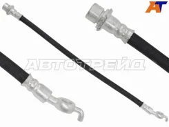 ����� ��������� BH-T595, �����/������ �������� ����