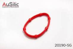    AuSilic 20190SG 