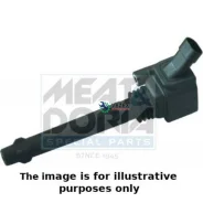 ������� ��������� FIAT Meatdoria 10541E ����