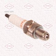   [Standard] Honda/Yamaha 