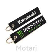   Kawasaki Monster 