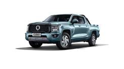      Great Wall Poer King Kong
