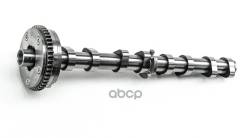 ��� ����������������� ��������, AW0760600007 Dominant ���. AW0760600007 ����