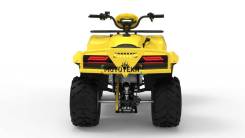  Irbis () ATV 250 2024    