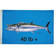  King Mackrel 40 Blue 16 x 24 Taylor 32-1945 