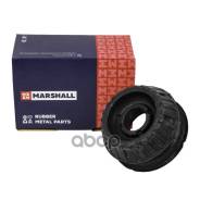   |  / | Marshall . M8083640 