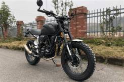 Fuego Scrambler 250, 2022 