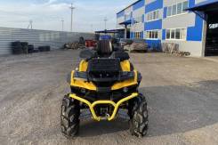 Stels ATV 850 Guepard Trophy (2018) /, 2018 