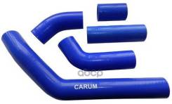     . -4216 -  2010 .  (- 5 . ) Carum . 3302130300010 3302130300010 CARUM 3302130300010 