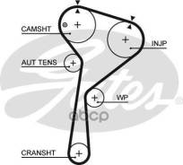    Renault/Nissan 1,5dCi / .123 [178Gatesk015578XS] 