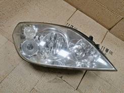   Primera 2002-2008 . 441