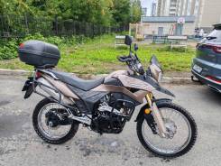 Racer Ranger RC300-GY8, 2019 