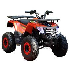 Wels Thunder AX 125, 2024 