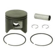      T-Moly  . Sledex  Polaris 800 SM-09287 
