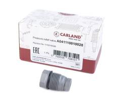      () 1110010028 Carland 