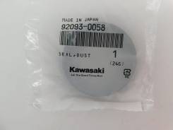   Kawasaki Ninja ZX-10R ZX1000 Ninja H2 92093-0058 