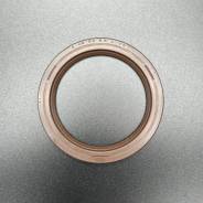   OIL SEAL (Quicksilver) 