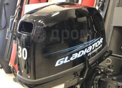   Gladiator G30FHS / 