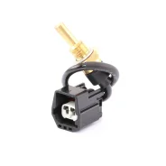 ������ ����������� �������� Vernet WS3062 ����