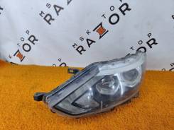   Nissan Qashqai 10018013,   