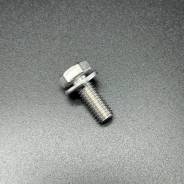   . 6  Screw (Quicksilver) 