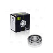  50305 .  .   Trialli CT503 