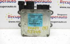    9659947680 Peugeot 207 CC 