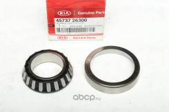  41x71x18.9  A6GF  Hyundai Creta Kia Soul   Hyundai 4573726300 