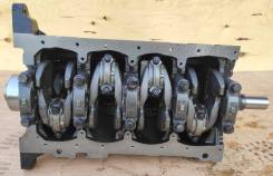 5L  Short 1140054160 (         ) GMP, .    