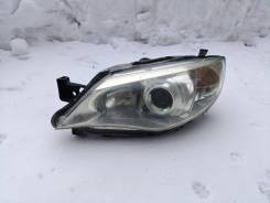 ���� ������ �������