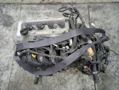      Toyota Allex 1NZ 
