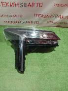 ���� �������� ������ LED Exeed RX T22